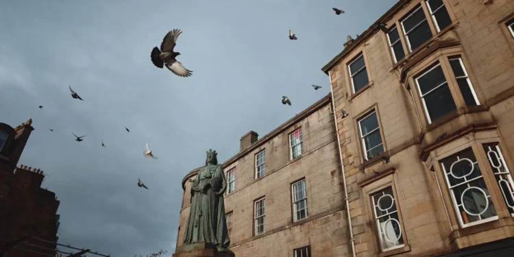 Ảnh chụp bởi chế độ màu Leica Chrome của Xiaomi Leica Leitzphone - Nguồn: CNET.