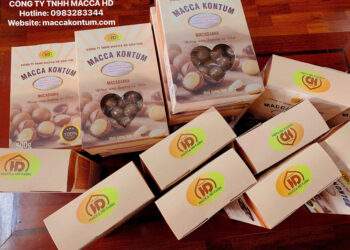 Động lực phát triển ở Đắk Tô, Quảng Ngãi