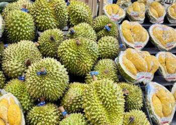 Giá cơm sầu riêng gần 600.000 đồng/kg, nhiều cửa hàng chỉ bán Ri6