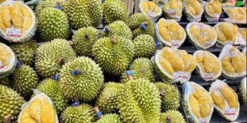 Giá cơm sầu riêng gần 600.000 đồng/kg, nhiều cửa hàng chỉ bán Ri6