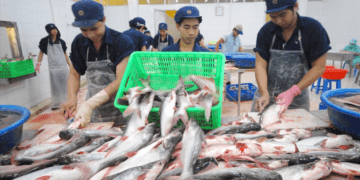 Giá cước tăng cao, lúa gạo, thủy sản, phân bón cùng gặp khó