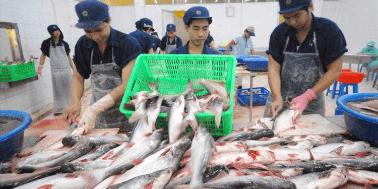 Giá cước tăng cao, lúa gạo, thủy sản, phân bón cùng gặp khó