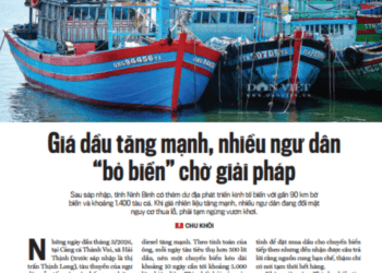 Giá dầu tăng mạnh, nhiều ngư dân “bỏ biển” chờ giải pháp - Ảnh 1