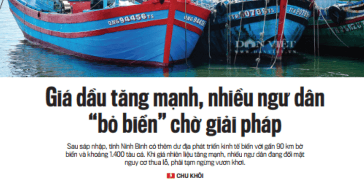 Giá dầu tăng mạnh, nhiều ngư dân “bỏ biển” chờ giải pháp - Ảnh 1