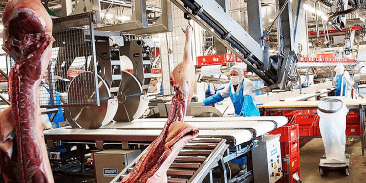 Giết mổ Chế biến thịt Xúc xích Xuất khẩu Sản phẩm chăn nuôi Chuỗi giá trị chăn nuôi Nút thắt Thịt đông lạnh