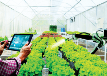 Hệ sinh thái phát triển có chủ đích và cấu trúc quyền lực kinh tế