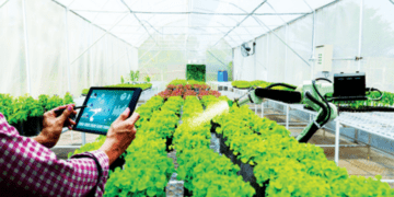 Hệ sinh thái phát triển có chủ đích và cấu trúc quyền lực kinh tế