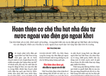 Hoàn thiện cơ chế thu hút nhà đầu tư nước ngoài vào điện gió ngoài khơi - Ảnh 1