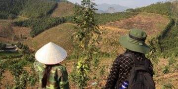 JICA secures GCF funding for Vietnam forest conservation project