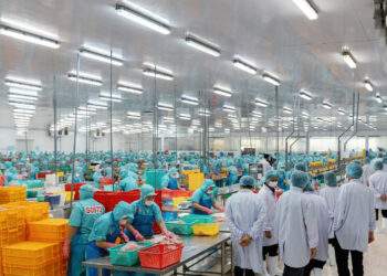 Lãnh đạo tỉnh Thanh Hóa đến thăm và làm việc tại Sao Mai Group