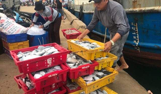 Ngư dân đặc khu Lý Sơn sau chuyến đánh bắt hải sản vận chuyển về cảng cá. Ảnh Ngô Anh Văn