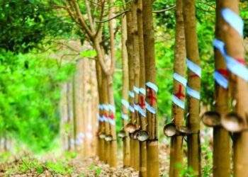 Một doanh nghiệp đặt mục tiêu lợi nhuận năm 2026 tăng hơn 150% so với năm trước nhờ khoản tiền đền bù từ công ty thành viên của THACO