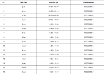 Danh sách tên miền cuộc đấu giá thứ 2