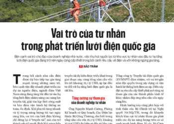 Nâng cao vai trò của tư nhân trong phát triển lưới điện quốc gia - Ảnh 1