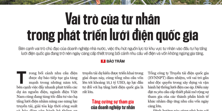 Nâng cao vai trò của tư nhân trong phát triển lưới điện quốc gia - Ảnh 1