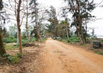 Khu vực dự kiến sẽ tổ chức Lễ động thổ dự án Nhà máy Nhiệt điện LNG Quỳnh Lập