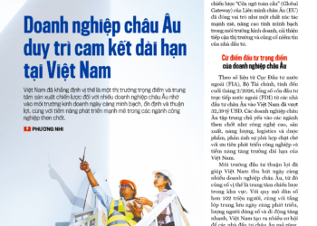 Nhà đầu tư châu Âu duy trì cam kết dài hạn tại Việt Nam - Ảnh 1