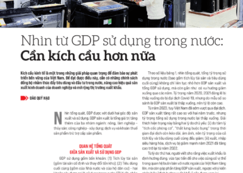 Nhìn từ GDP sử dụng trong nước: Cần kích cầu hơn nữa  - Ảnh 1