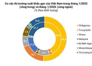 Tận dụng FTA để mở rộng thị trường xuất khẩu gạo trong bối cảnh nhiều biến động - Ảnh 1