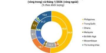 Tận dụng FTA để mở rộng thị trường xuất khẩu gạo trong bối cảnh nhiều biến động - Ảnh 1