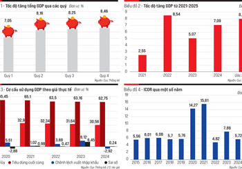 Tăng trưởng kinh tế năm 2025 và kỳ vọng cho 2026 - Ảnh 1