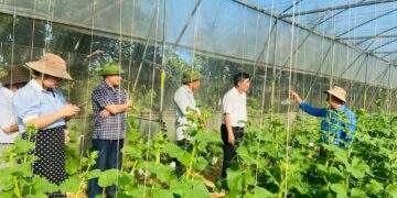 Nhà màng, nhà lưới được khuyến khích đầu tư nhằm thúc đẩy nông nghiệp ứng dụng công nghệ cao.