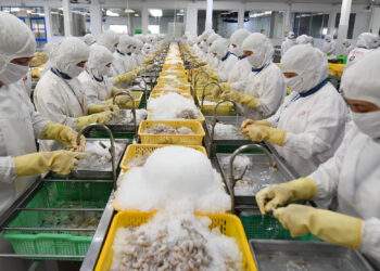 Trung Đông bốc lửa, Cục Xuất nhập khẩu đưa ra loạt khuyến nghị khẩn