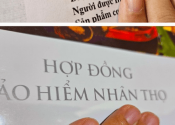 Trưởng Công an xã có quyền phạt vi phạm bảo hiểm lên đến 50 triệu đồng