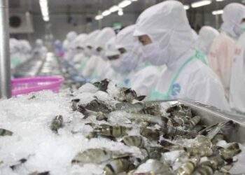 Vietnam and US set to ease seafood trade regulation