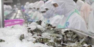 Vietnam and US set to ease seafood trade regulation