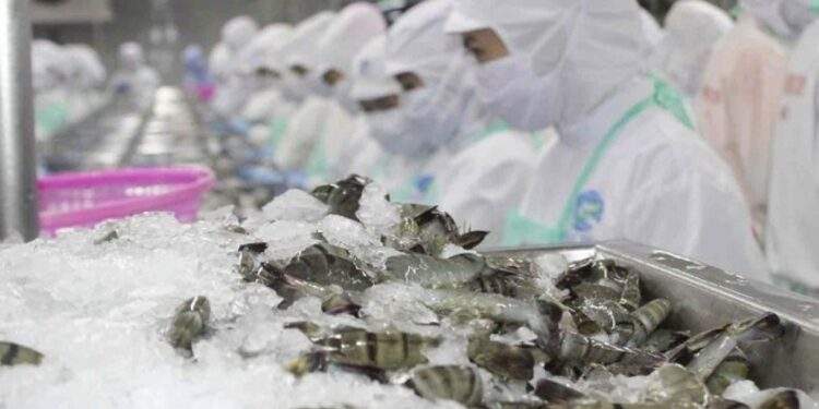 Vietnam and US set to ease seafood trade regulation