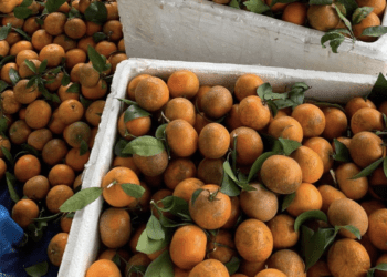 Xăng dầu tăng chóng mặt, dân buôn online đồng loạt “xin thêm 5.000 đồng/đơn”