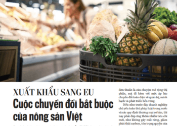Xuất khẩu sang EU: Cuộc chuyển đổi bắt buộc của nông sản Việt  - Ảnh 1