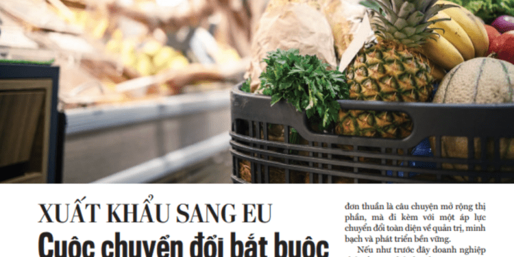 Xuất khẩu sang EU: Cuộc chuyển đổi bắt buộc của nông sản Việt  - Ảnh 1