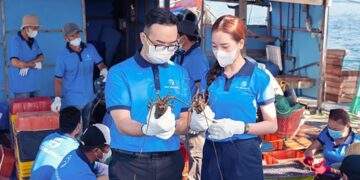 9 năm kiến tạo nội lực, mở ra hành trình vươn tầm kỷ nguyên mới