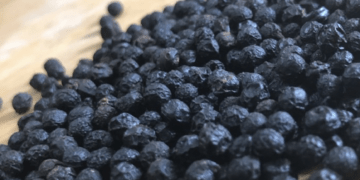 Ba quốc gia ồ ạt gom mua một loại hạt của Việt Nam