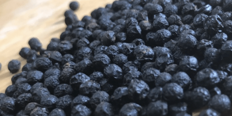 Ba quốc gia ồ ạt gom mua một loại hạt của Việt Nam