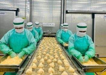 C.P. Việt Nam trước cơ hội đưa thịt gà chế biến vào Hàn Quốc