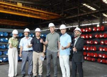 Chuyên gia Việt Nam và Đan Mạch thúc đẩy năng lượng hiệu quả và tiết kiệm