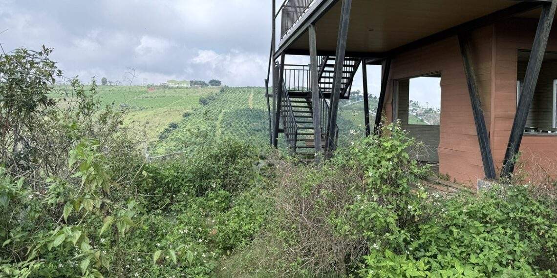 Chuyên gia nêu lý do đất nền phân lô bán cắt lỗ vẫn không có người mua