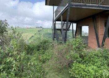 Chuyên gia nêu lý do đất nền phân lô bán cắt lỗ vẫn không có người mua