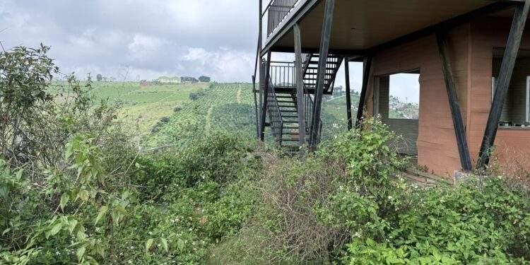 Chuyên gia nêu lý do đất nền phân lô bán cắt lỗ vẫn không có người mua