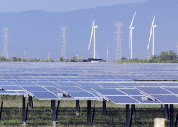 Để pháp luật thực sự thúc đẩy các hoạt động đầu tư