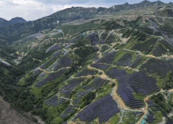 Điện mặt trời lập kỷ lục công suất mới 511 GW trong năm 2025