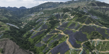 Điện mặt trời lập kỷ lục công suất mới 511 GW trong năm 2025