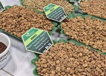 Đồng loạt giảm, cà phê đặc sản gây bất ngờ