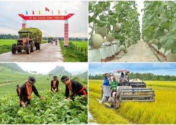 Động lực thúc đẩy nông thôn mới và giảm nghèo bền vững giai đoạn mới