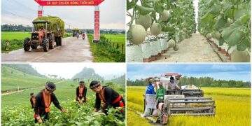 Động lực thúc đẩy nông thôn mới và giảm nghèo bền vững giai đoạn mới