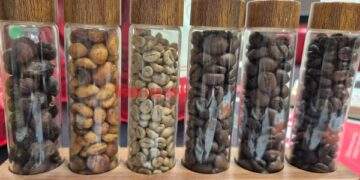 Khó chốt thời điểm mua bán