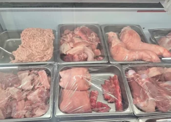 Khởi tố vụ hộ kinh doanh xuất hóa đơn gia công hơn 20.000 con heo cho Công ty C.P